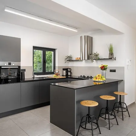 Anni For 10 People In With Heated Pool, Sea View & Kids And Playground Villa Porec